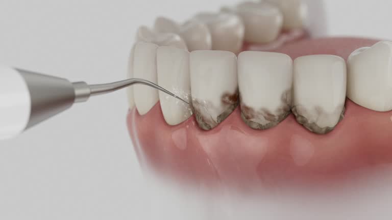 Reliable Dental contractor in Innovation, VA by Dentist Open Now